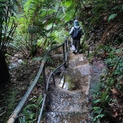 Beginn des Loops am Grand Canyon