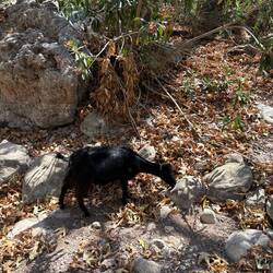 On n'est pas tout seuls