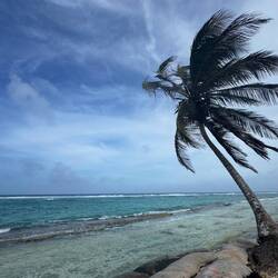 Ein windiger Tag am Playa St. Luis 💨