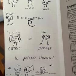 My Poisson Steve interpretation