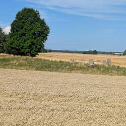 Überall gibt es Spuren unserer Vorfahren