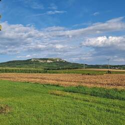 Tolle Aussicht vom Stellplatz auf dem Weingut