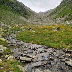 Durch wasserreiche Landschaften gehts hoch ...