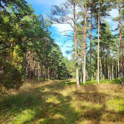 Hier finden wir unser Abendessen!