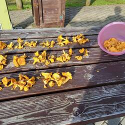 Das Putzen ist recht mühsam. 😊