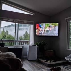 Angel-Videos geschaut