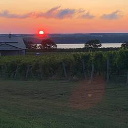 Es ist schon ab 5:30 hell hier