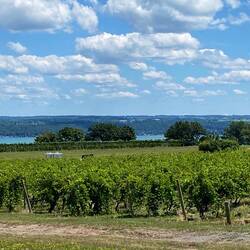 Blick auf den Cayuga lake😉
