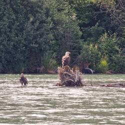 Das i-Tüpfelchen eines perfekten Tage