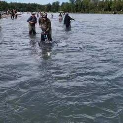 Ein Fisch nach dem anderen...