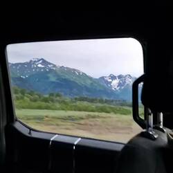 Nebelschwaden am Morgen auf der Kenai Halbinsel