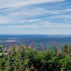Anchorage Down Town im Küstenbecken
