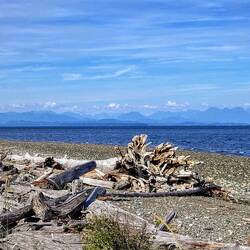 ... bei Campbell River, gegenüber die Coast Mountains