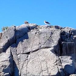 Bald findet hier die Flugstunde statt 🙈