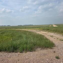 Nebraska, corner of 460 Ave and Bluberry Rd