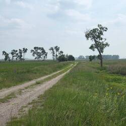 Nebraska, corner of 460 Ave and Bluberry Rd