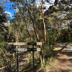 In het Balls Head Reserve, het park wat ook grond van de olieoplsag was
