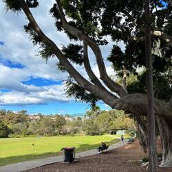 Iets verder North Sydney in