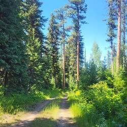 Der Tag nach der Wanderung: Perfekte Wege für unsere zwei Drahtesel