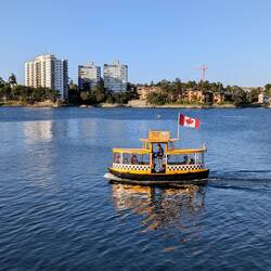 Checker Taxi Schiff