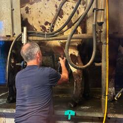 Handarbeit zu später Stunde.