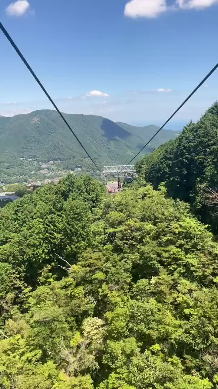 Wheeee! Hakone Ropeway