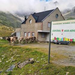 Grenzgänger/innen?😅