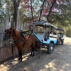 Auch hier gibt es keine Autos