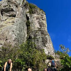 The needle