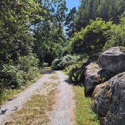 Der Weg runter zur Brücke