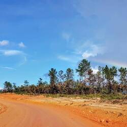On the way to Caracol. Some muddy sections ahead.