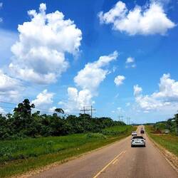 On the way to Belize City.