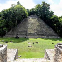 A lot of structures are still partially or totally covered by forest...