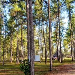 Excellent camping ground in the vicinity of Caracol.