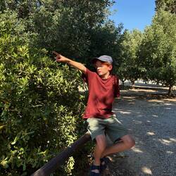 Il voit encore des murs au dessus de l'amphithéâtre