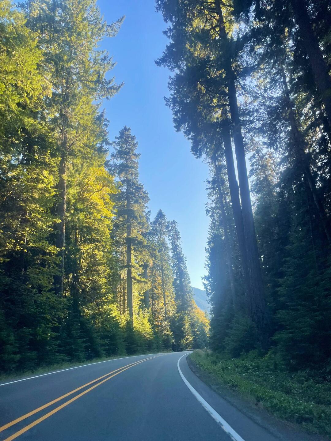 Highway 101