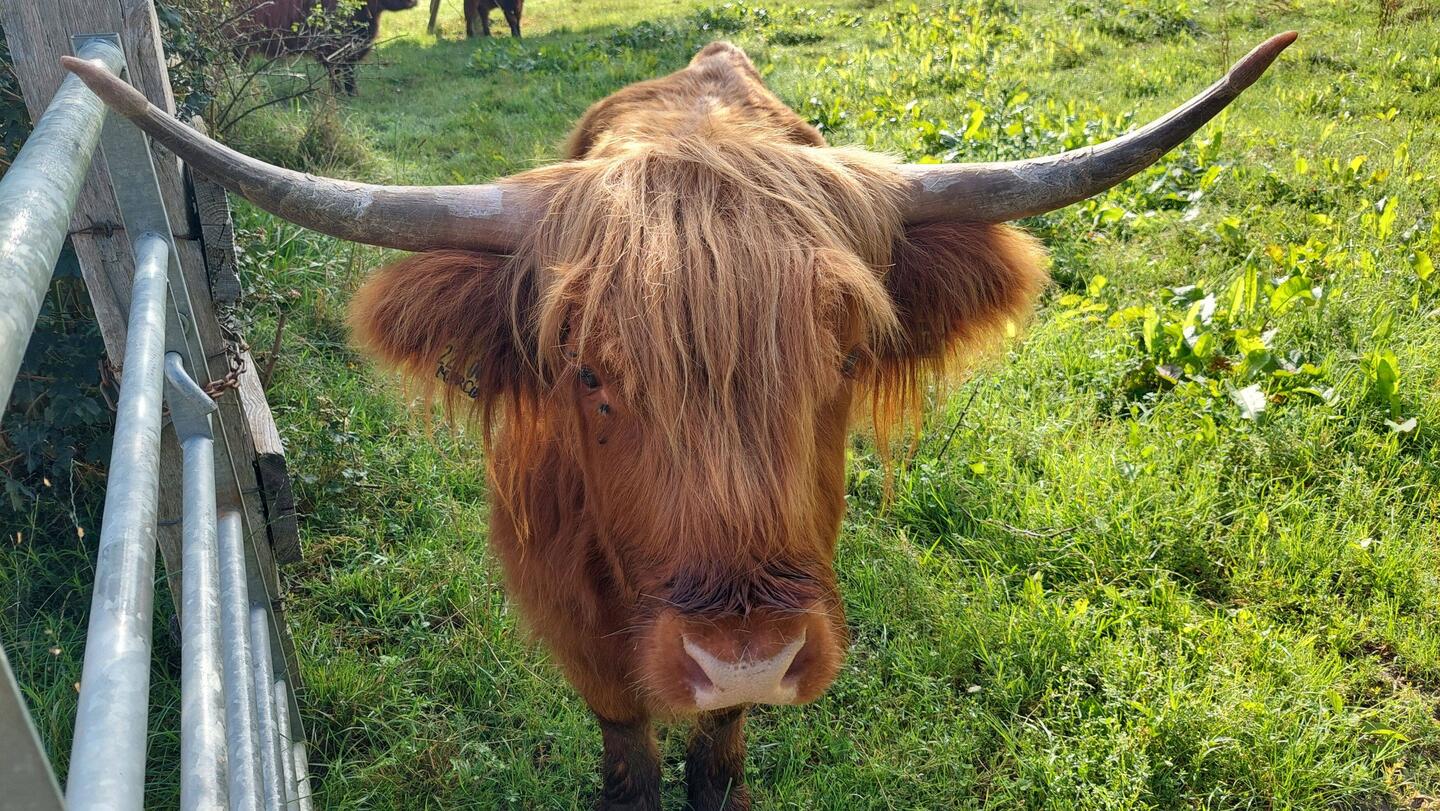 Guten Morgen 🌞