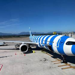 "Streifenhörnchen" 🐿️