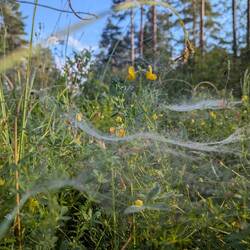 Trotzdem habe ich mich näher rangetraut