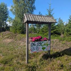 Ich habe mich auch gefeiert gefühlt