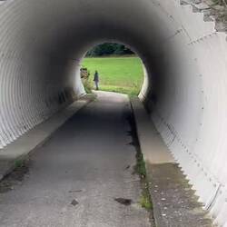 Tabeas "Nasen-Maß" ist gut geeicht,