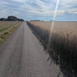 Genau an diesem Platz habe ich ein Jahr zuvor die Einladung zum Vorstellungsgespräch bekommen