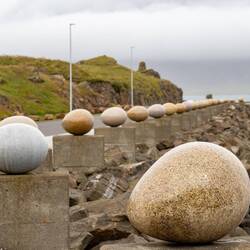 Und nochmal die Vogeleier