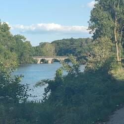 Petit pont