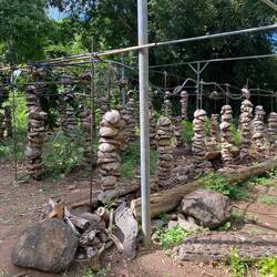 So wurden Vanillepflanzen früher gezogen.