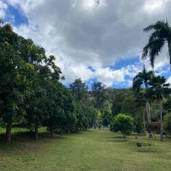 Besuch einer Baumschule mit verschiedenen Sorten von Obst- und Forstbäumen.