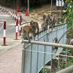 These guys were friendly