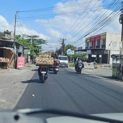 Hier fällt Lucky grad raus 😱