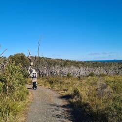 zurück durch den Wald