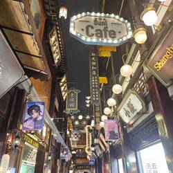 Yuyuan Garden de nuit